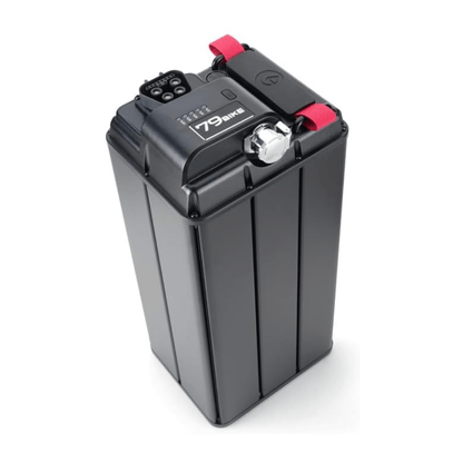 79BIKE Falcon Pro - El - cross - Wheelyshop