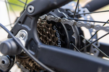 Duotts E29 - Elcykel - Wheelyshop