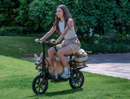 DYU C4 - Elcykel - Wheelyshop