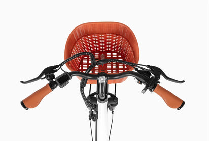 DYU C6 Pro - Elcykel - Wheelyshop