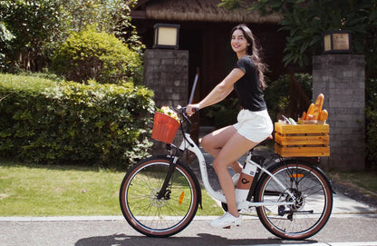 DYU C6 Pro - Elcykel - Wheelyshop