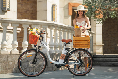 DYU C6 Pro - Elcykel - Wheelyshop