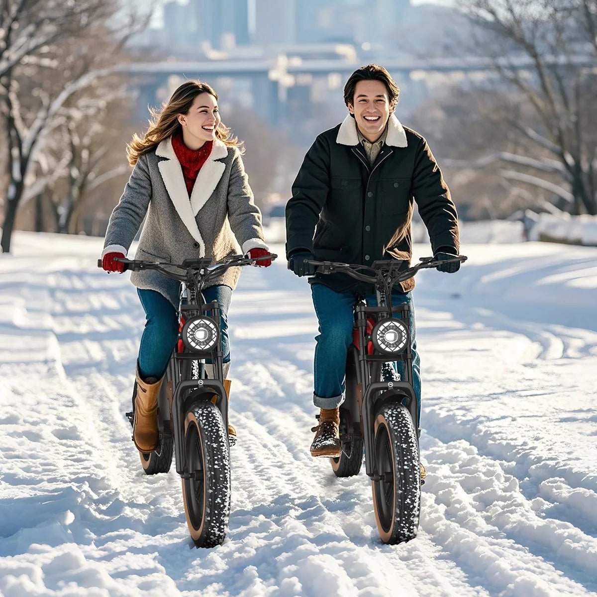 Hidoes B10 - Elcykel - Wheelyshop