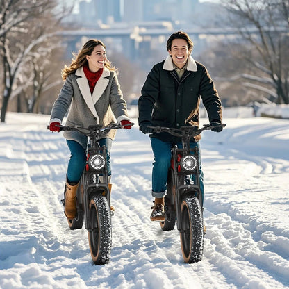 Hidoes B10 - Elcykel - Wheelyshop