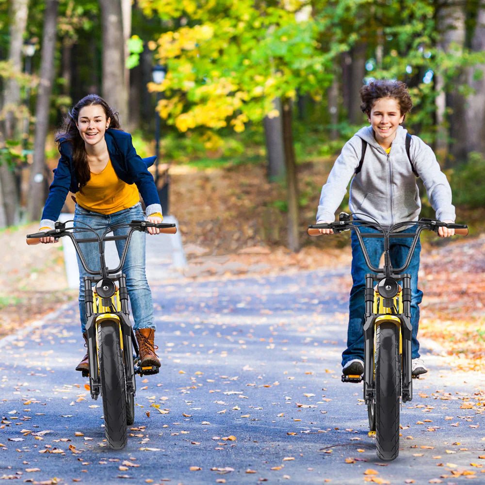 Hidoes C8 - Elcykel - Wheelyshop