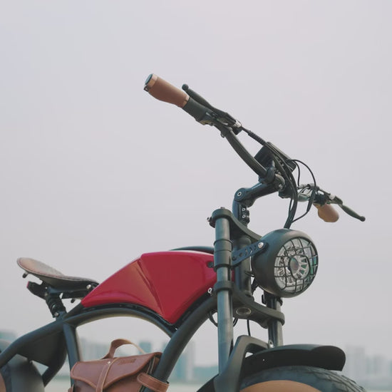 Hidoes B10 Elcykel Reklamvideo - Wheelyshop.se