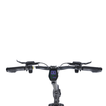 Punk Rebel - Elsparkcykel - Wheelyshop