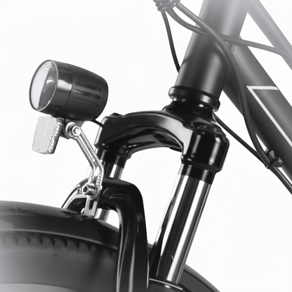 PRODUCT C26 - 2 - Electric bike - Wheelyshop