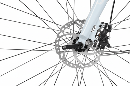 VARUN C700 - 7 - Electric bike - Wheelyshop