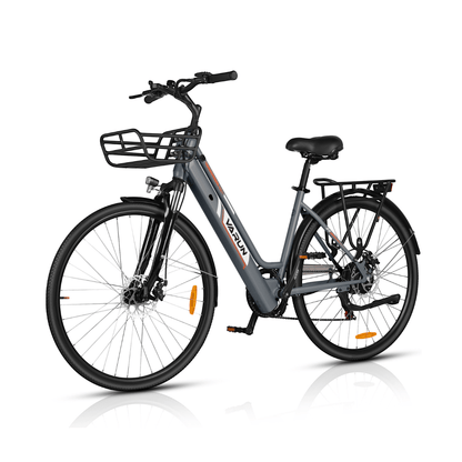 VARUN C700 - 8 - Electric bike - Wheelyshop