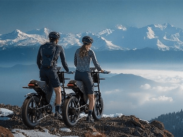 VARUN X - Plorer Beast - Elcykel - Wheelyshop