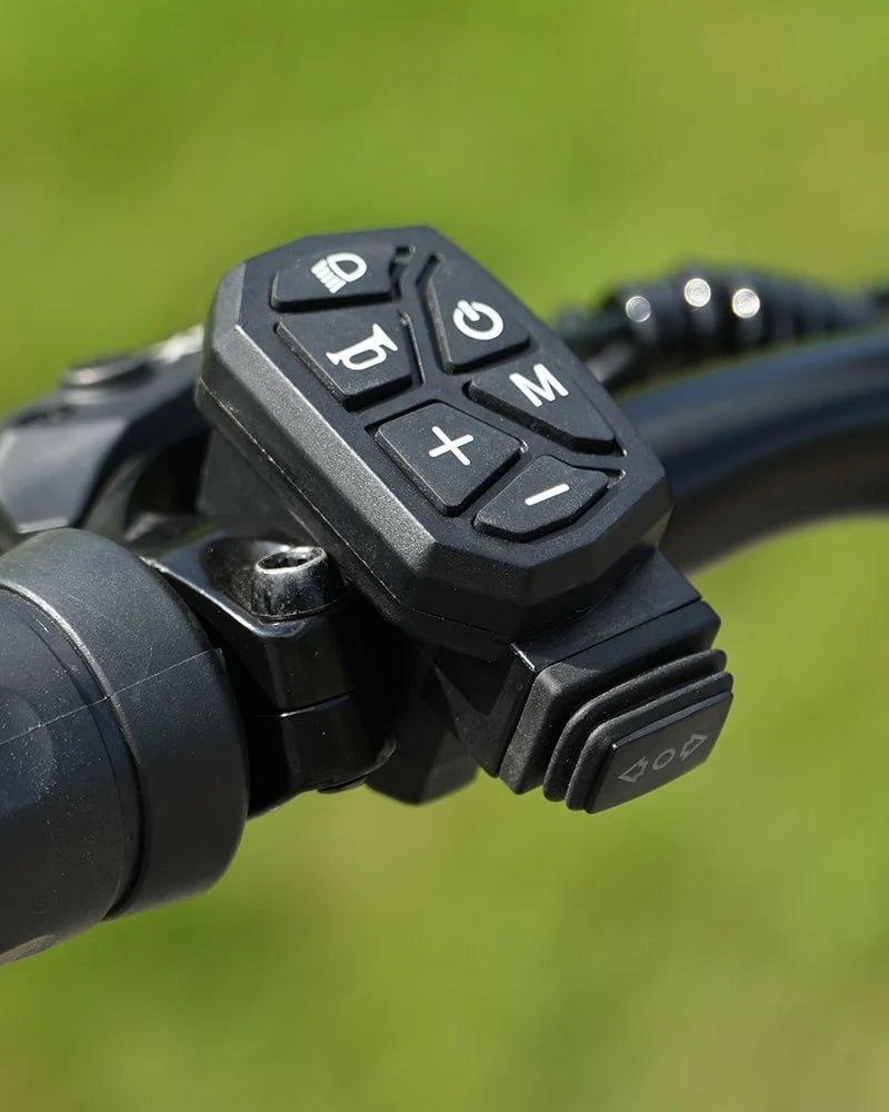 VIPCOO VS9 - Elsparkcykel - Wheelyshop